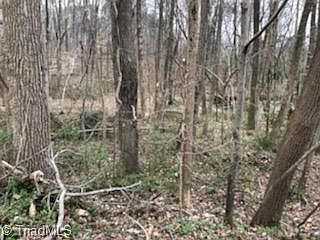 3rd image of 0 Logan Ln