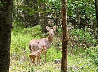 39V High Valley Dr S, Monterey, VA 24465