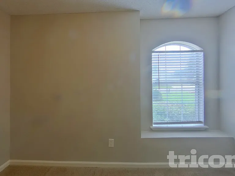 4231 Hanging Moss Dr — Photo 11