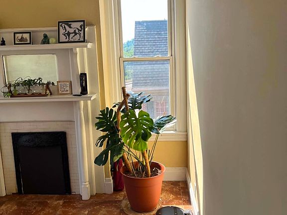 4th image of 222 Pleasant St #4