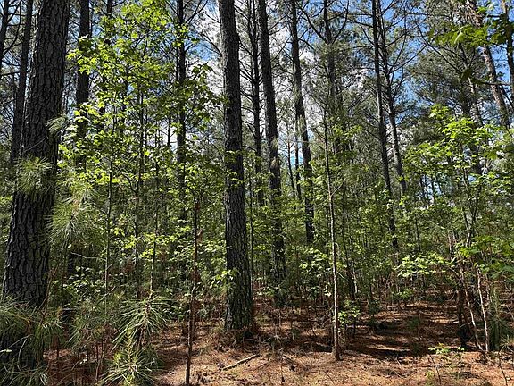 2nd image of Taylor Mill Rd