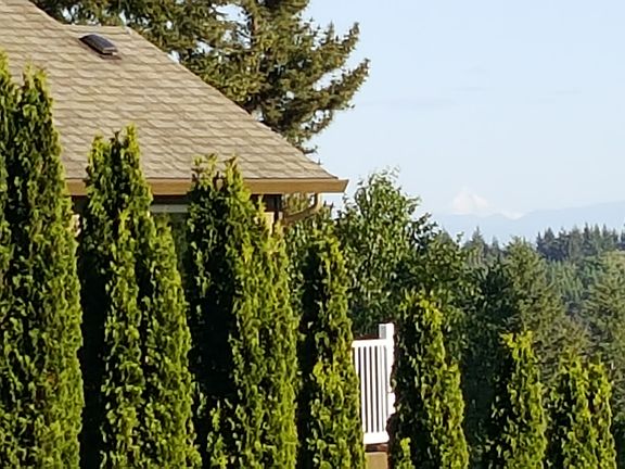 Mt. Hood in the distance