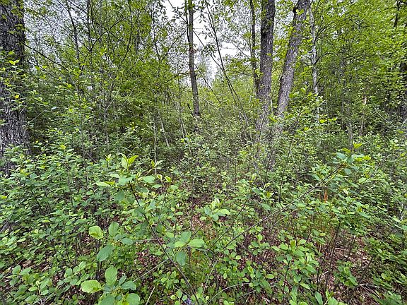 3rd image of LOT Two Stoddard Rd