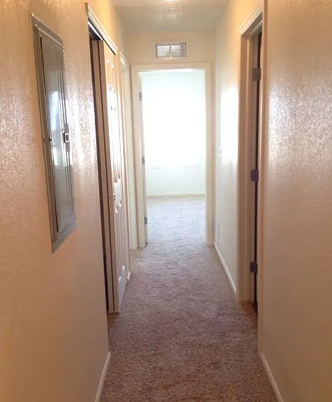 431 Black Feather Loop #818 — Photo 8