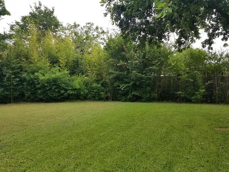 Back Yard Like a Park