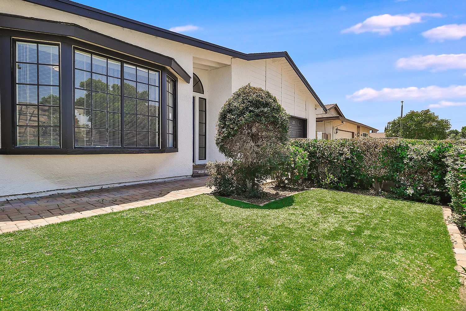 Water efficient yard