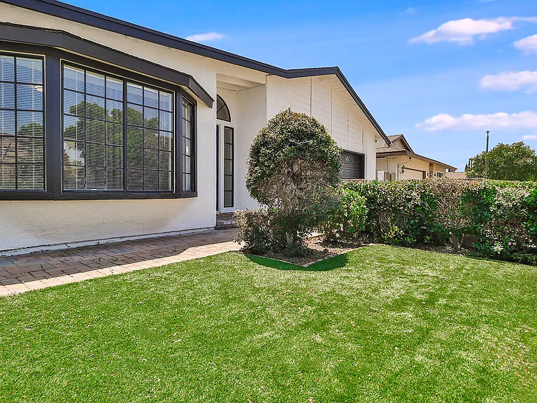 Water efficient yard