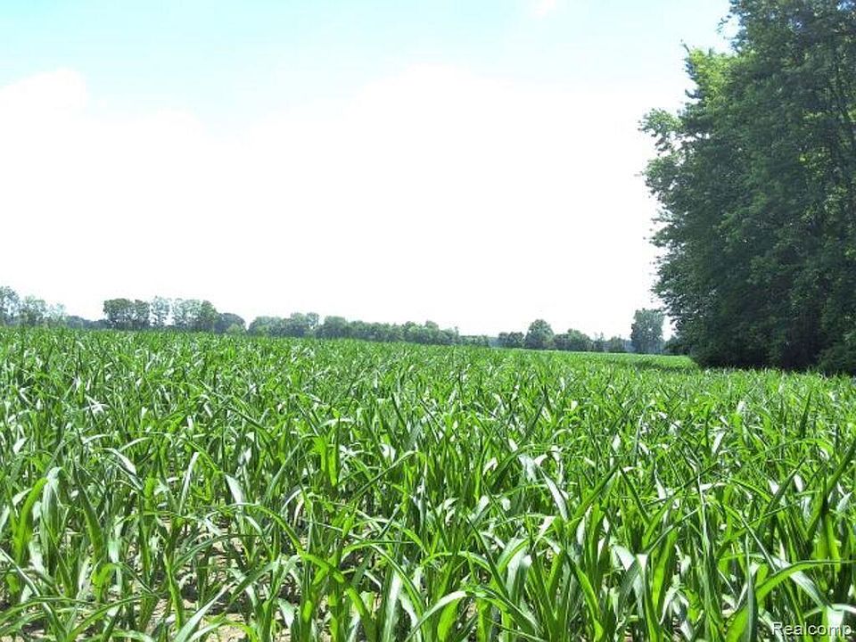 2nd image of Auction Lot Capac Rd