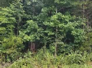 Stump Hollow Rd, Spring City, TN 37381