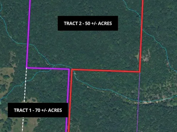 0000 County Road 358 Tract 1, Flemington, MO 65650