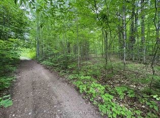 1043 Lawrence Pit Rd, Muskoka Lakes, ON P0B 1M0