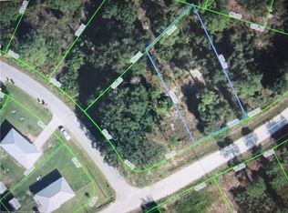 952 Jonquil St, Lake Placid, FL 33852