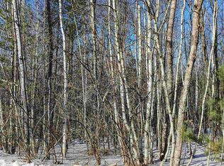 Scenic View Rd #31, Bristol, NH 03222