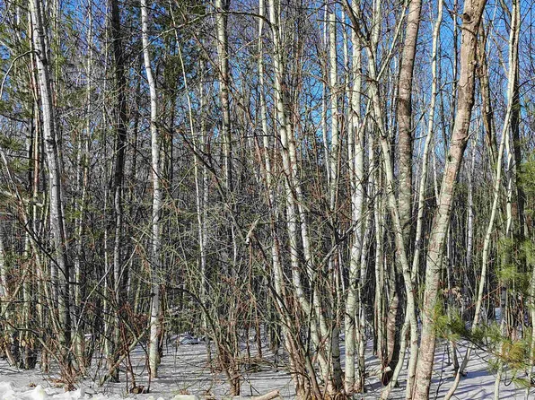 Scenic View Road #31, Bristol, NH 03222