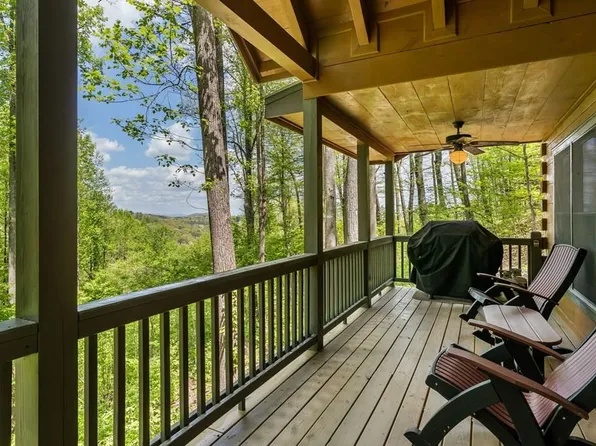 431 Little Bushy Head Rd, Blue Ridge, GA 30513
