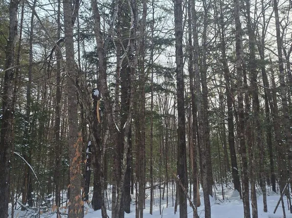 Lot12 Quarterhorse Drive, Bridgton, ME 04009