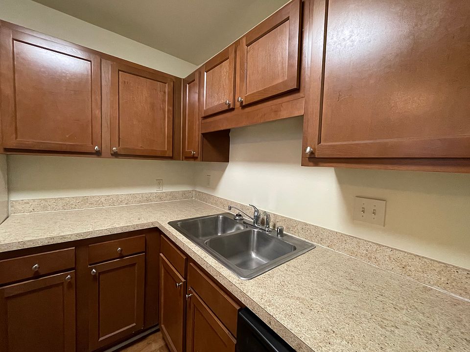 Sink and Cabinets