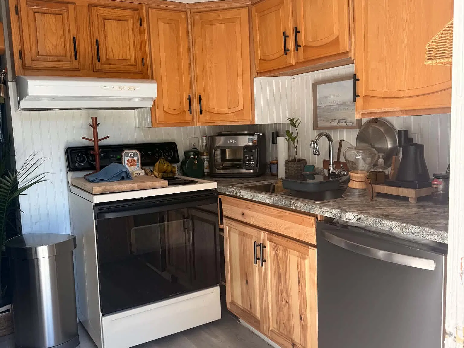 1 bed, 900 sqft, $995 — Photo 4
