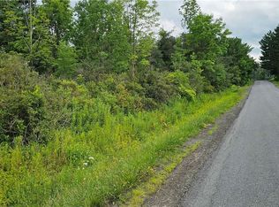 Michigan Hollow Rd, Spencer, NY 14883