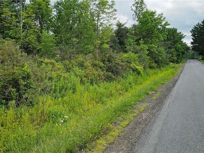 Michigan Hollow Rd, Spencer, NY, 14883