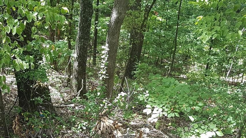1st image of 5770 Crestview Dr