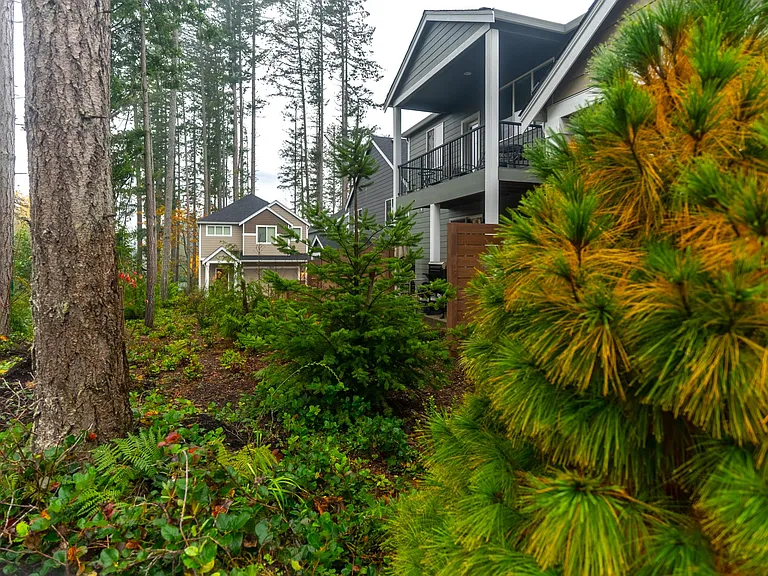 Skansie Pointe — Photo 23