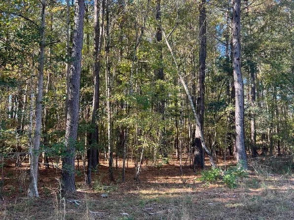 0 Jessie Dr, Saint Stephen, SC 29479
