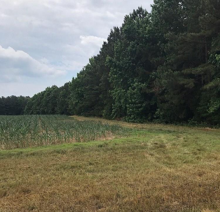 2nd image of Par B2 Plank Rd