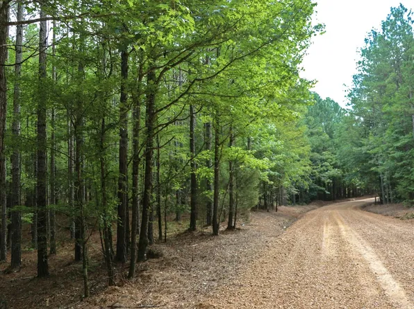 County Road 4142, Kosciusko, MS 39090