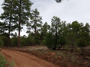 2044 Gilbert Ln, Overgaard, AZ 85933