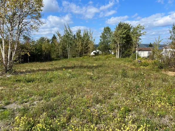 1 Hopkins Road, South Brook, NL A0J1S0