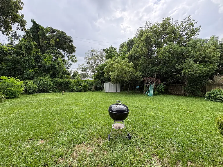 Backyard