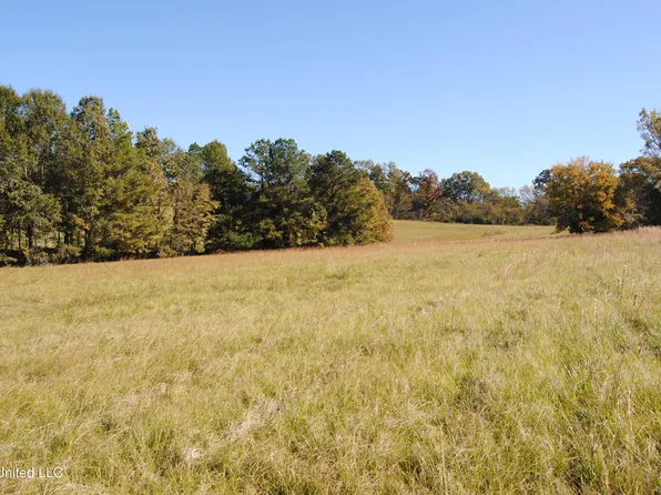 Chestnut Hill Rd Lot 60, Flora, MS 39071