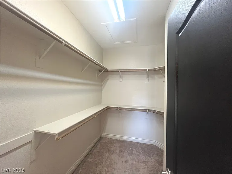 1667 Tangerine Rose Dr — Photo 22