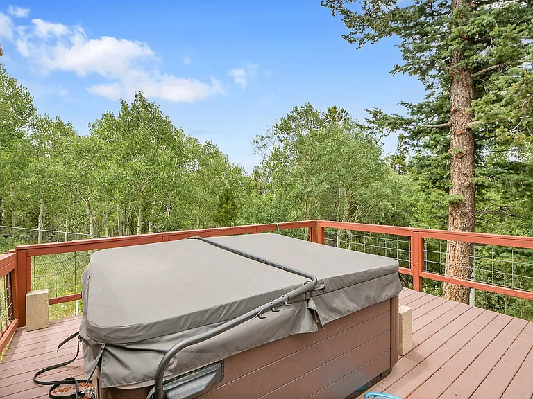 204 Bristlecone Way — Photo 30