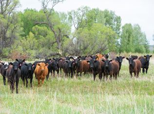 County Road 77, Craig, CO 81625