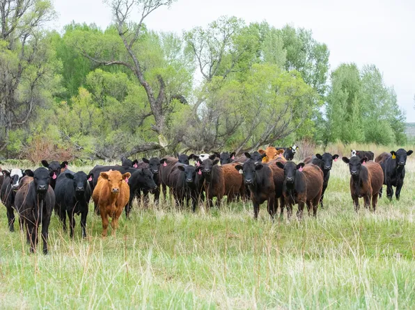 County Road 77, Craig, CO 81625