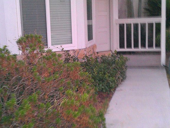 Enterance with Porch