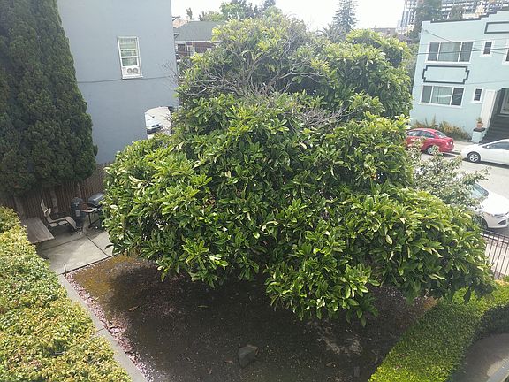 4th image of 445 40th St APT 2