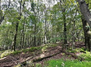 87 Ginger Ct, Terra Alta, WV 26764