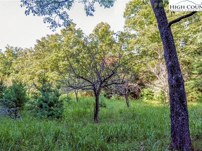2434 Shoe Road, Purlear, NC, 28665