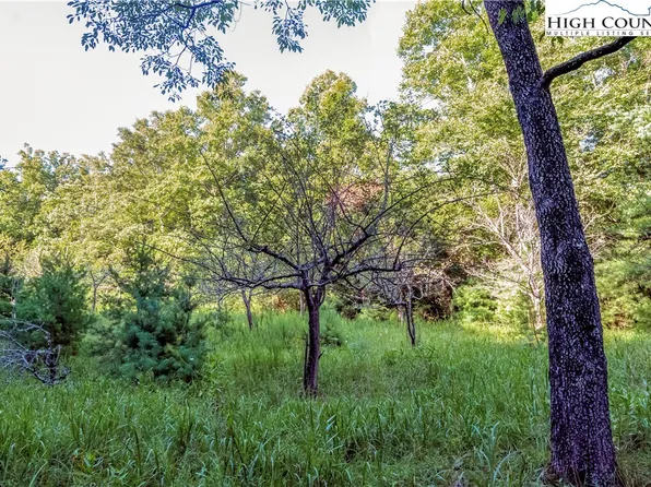 2434 Shoe Road, Purlear, NC 28663