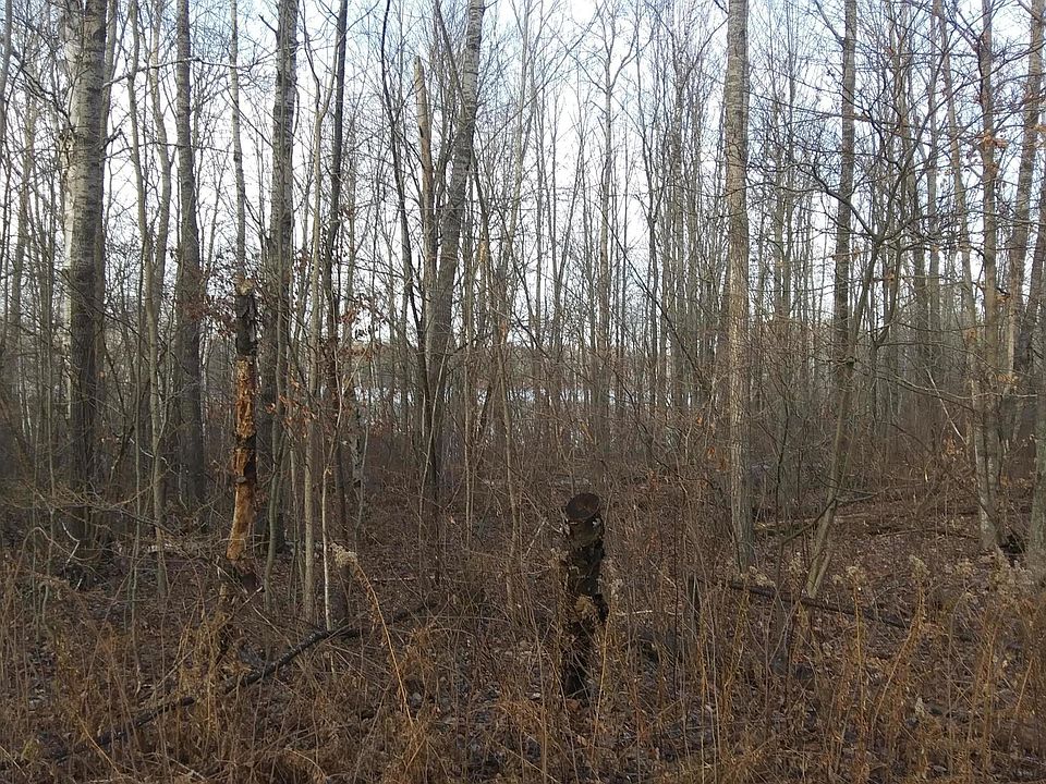 1st image of Wilderness Dr