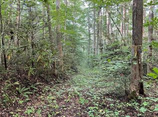 0 E Fork Church Rd, Sylva, NC 28779