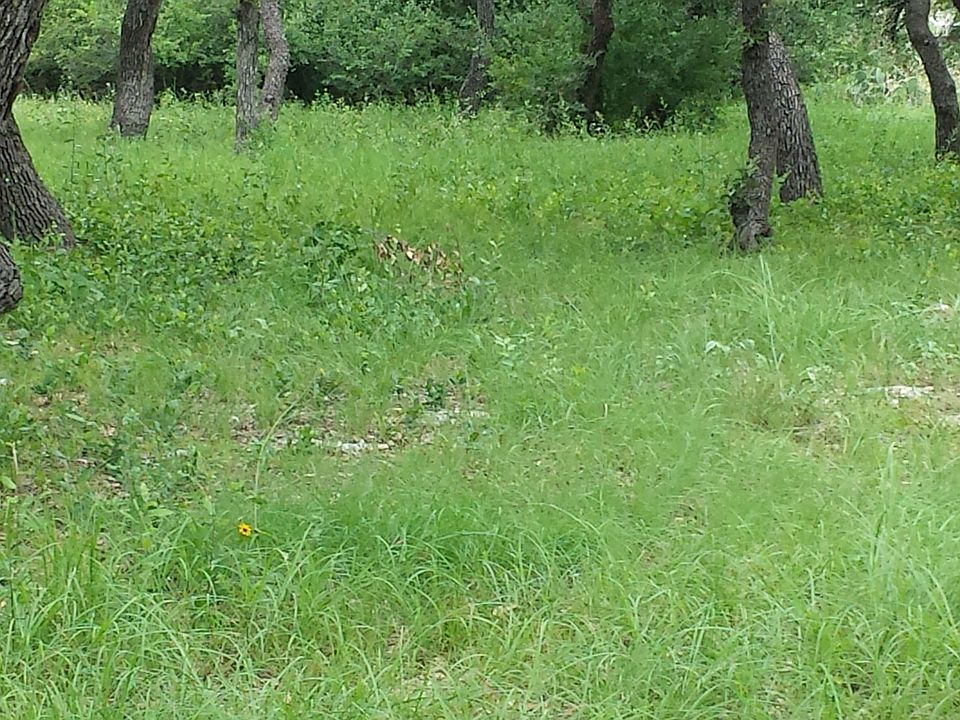 1st image of 1740 County Road 152