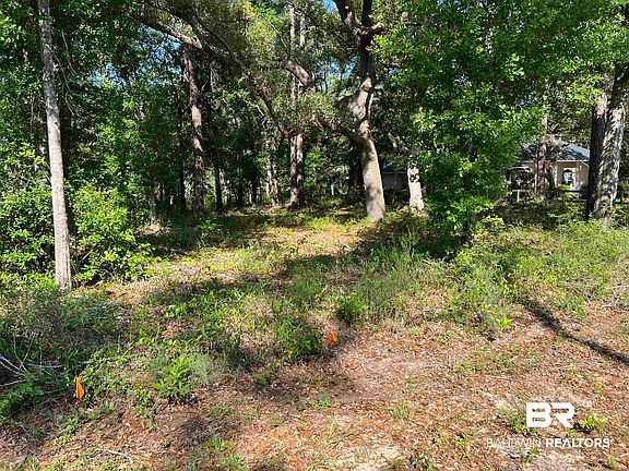 5th image of 9545 N Bayou Rd