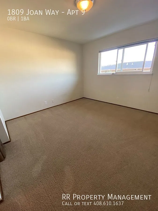 Cozy Studio in Convenient Location! — Photo 3