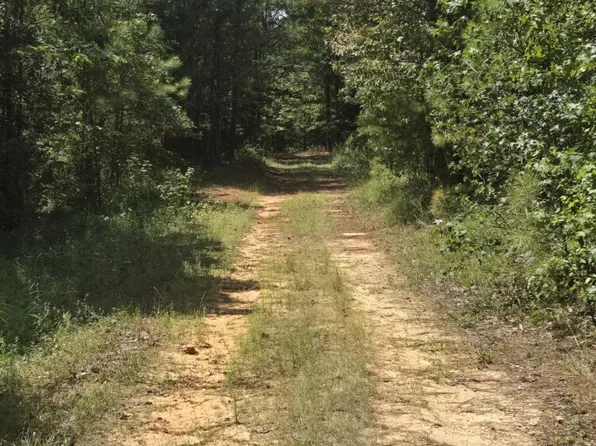 0 Adams Rd, Bankston, AL 35542