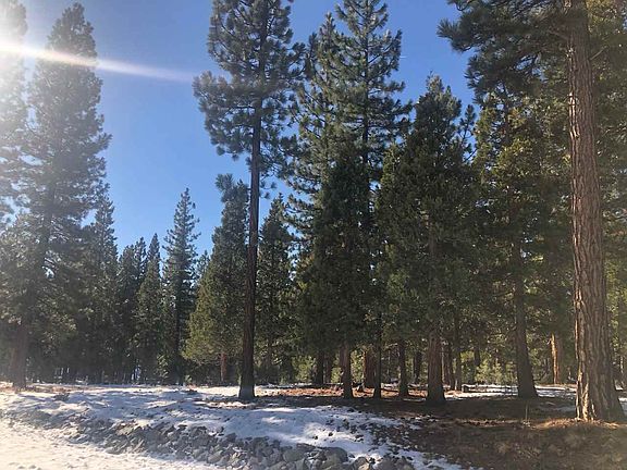 3rd image of 98 Smith Peak Dr