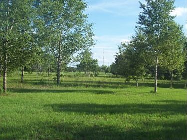 view from master bedroom window